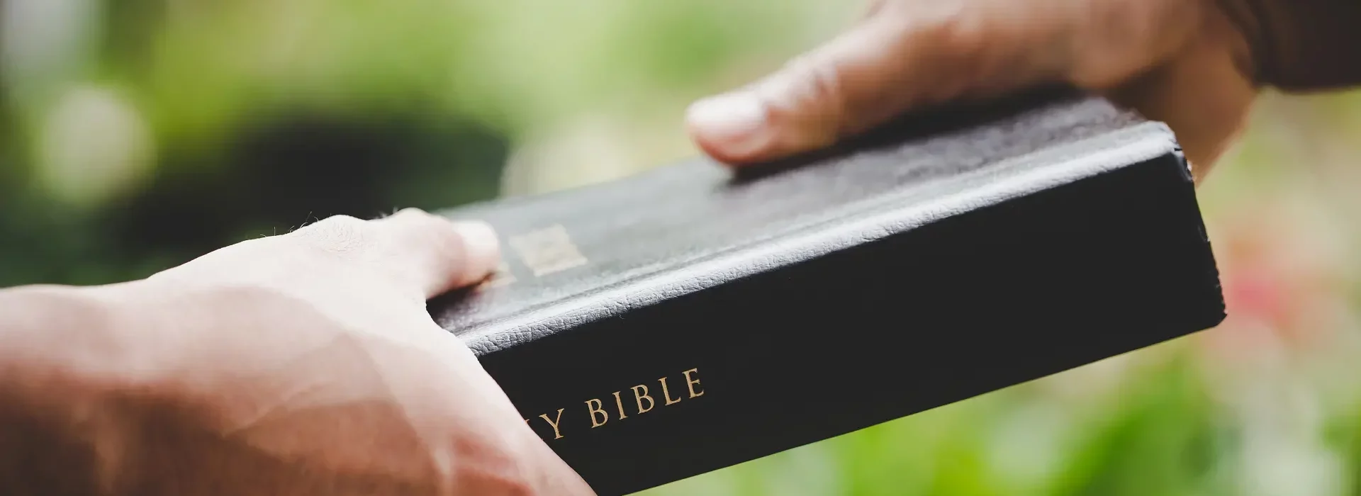 the-evangelist webp-